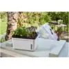 Smart Garden Perfect Propagator