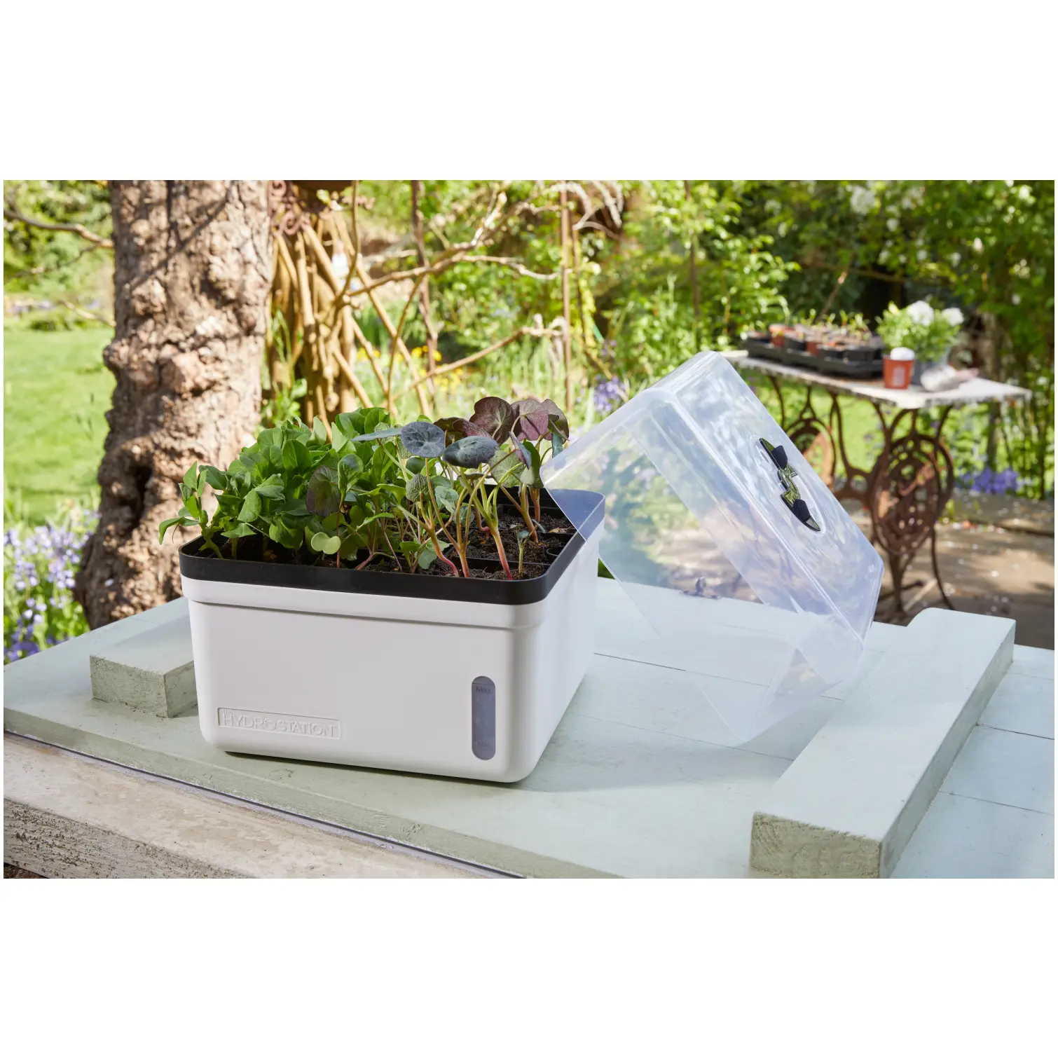 Smart Garden Perfect Propagator