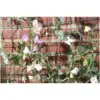 Smart Garden 5m x 50cm Plant Mesh Green