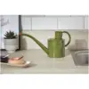 Metal Watering Can 1ltr Sage