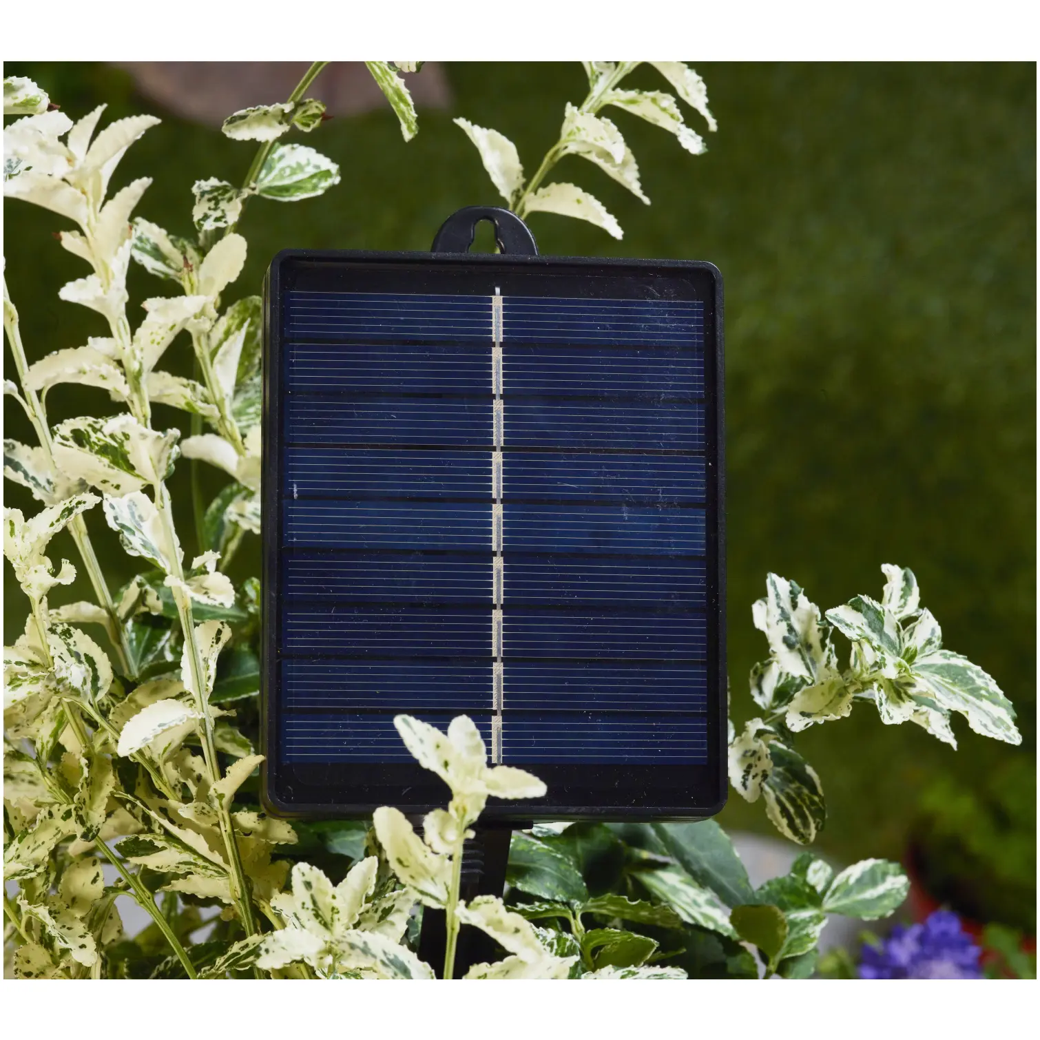 Smart Garden Festoon Dual Colour Set of 30