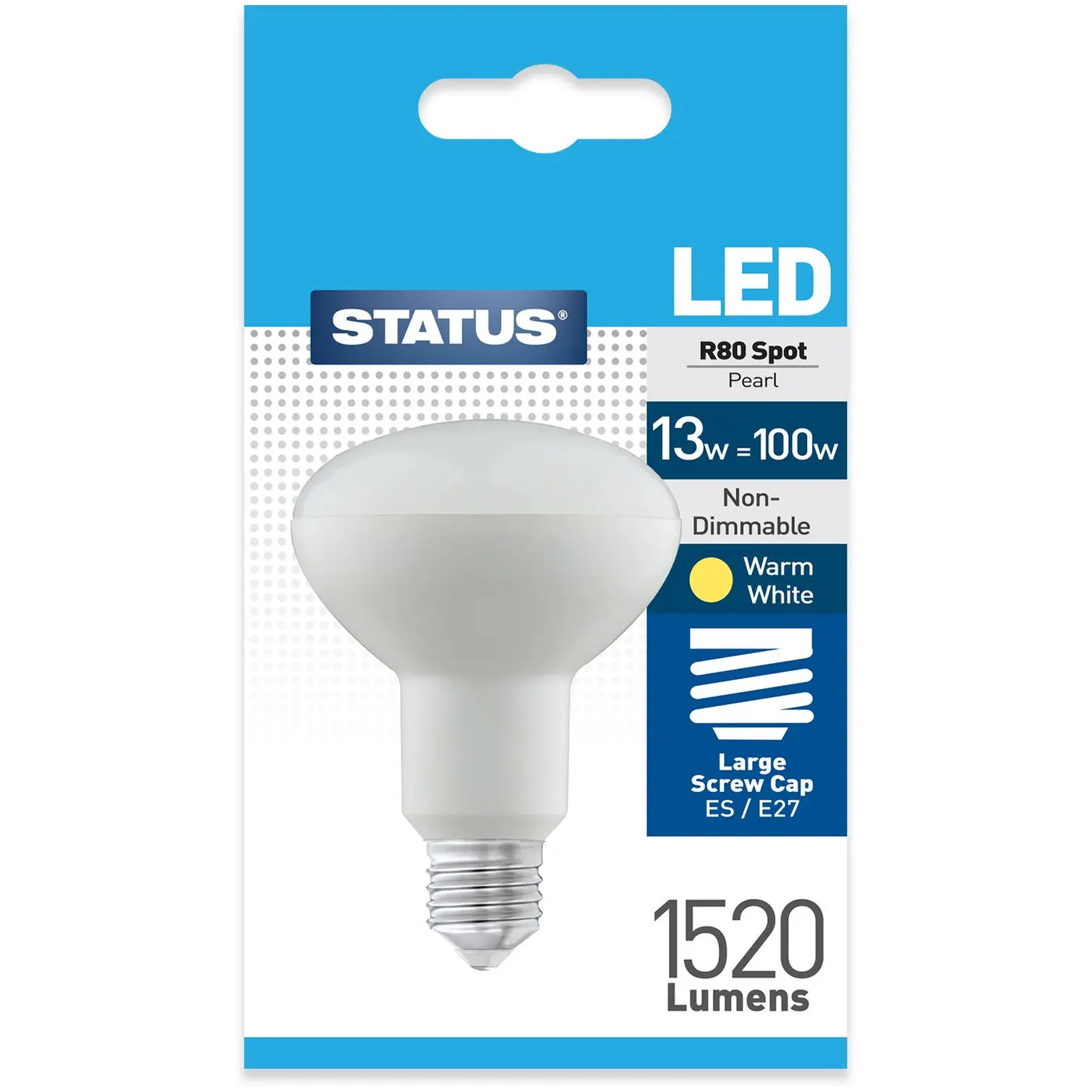 Status 15/100w R80 Spot ES