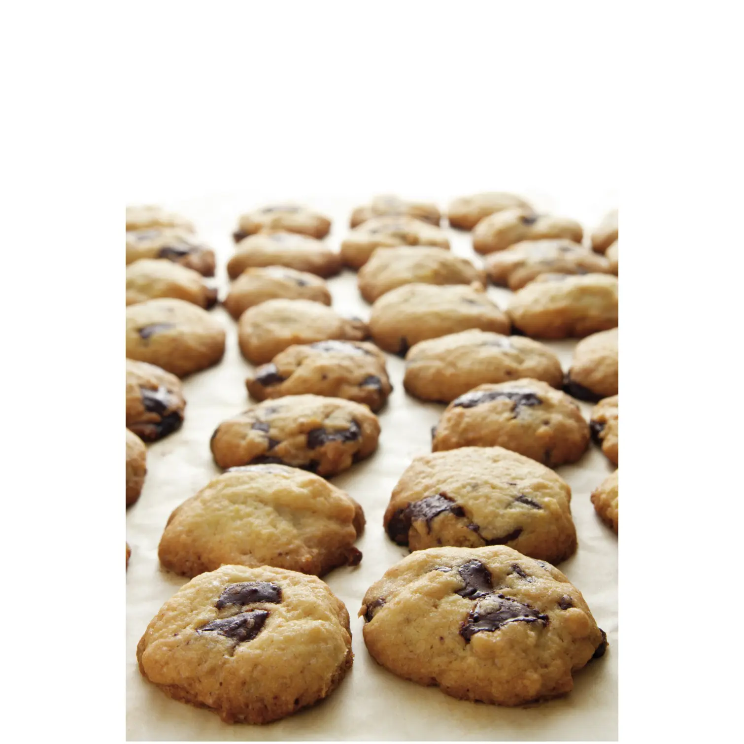 Tala Baking Sheet 35x40cm