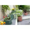 Whitefurze T/Cotta 24cm (9 1/2")Round Venetian Planter