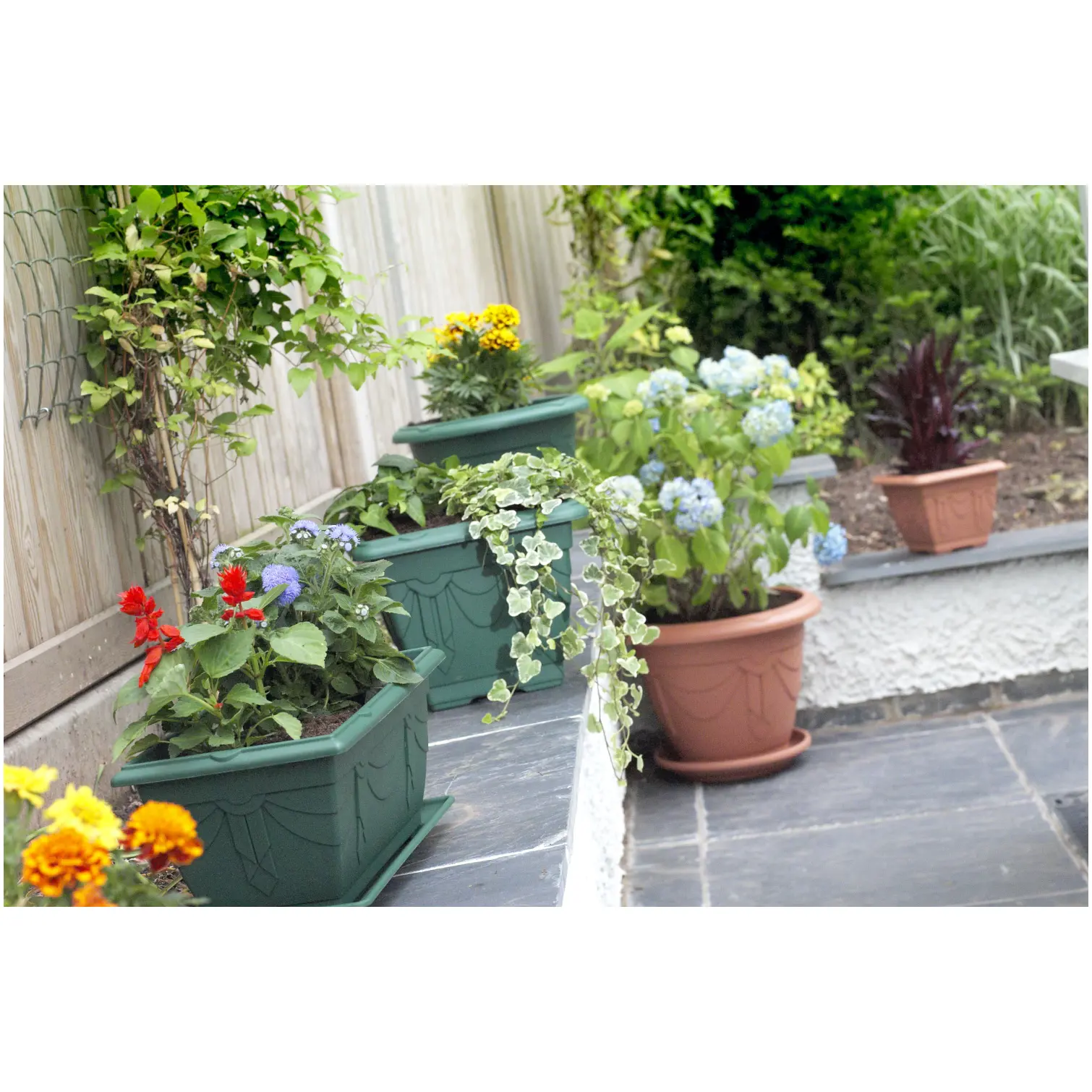 Whitefurze T/Cotta 24cm (9 1/2")Round Venetian Planter