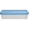 Whitefurze Space Master 0.6Ltr Assorted Colours