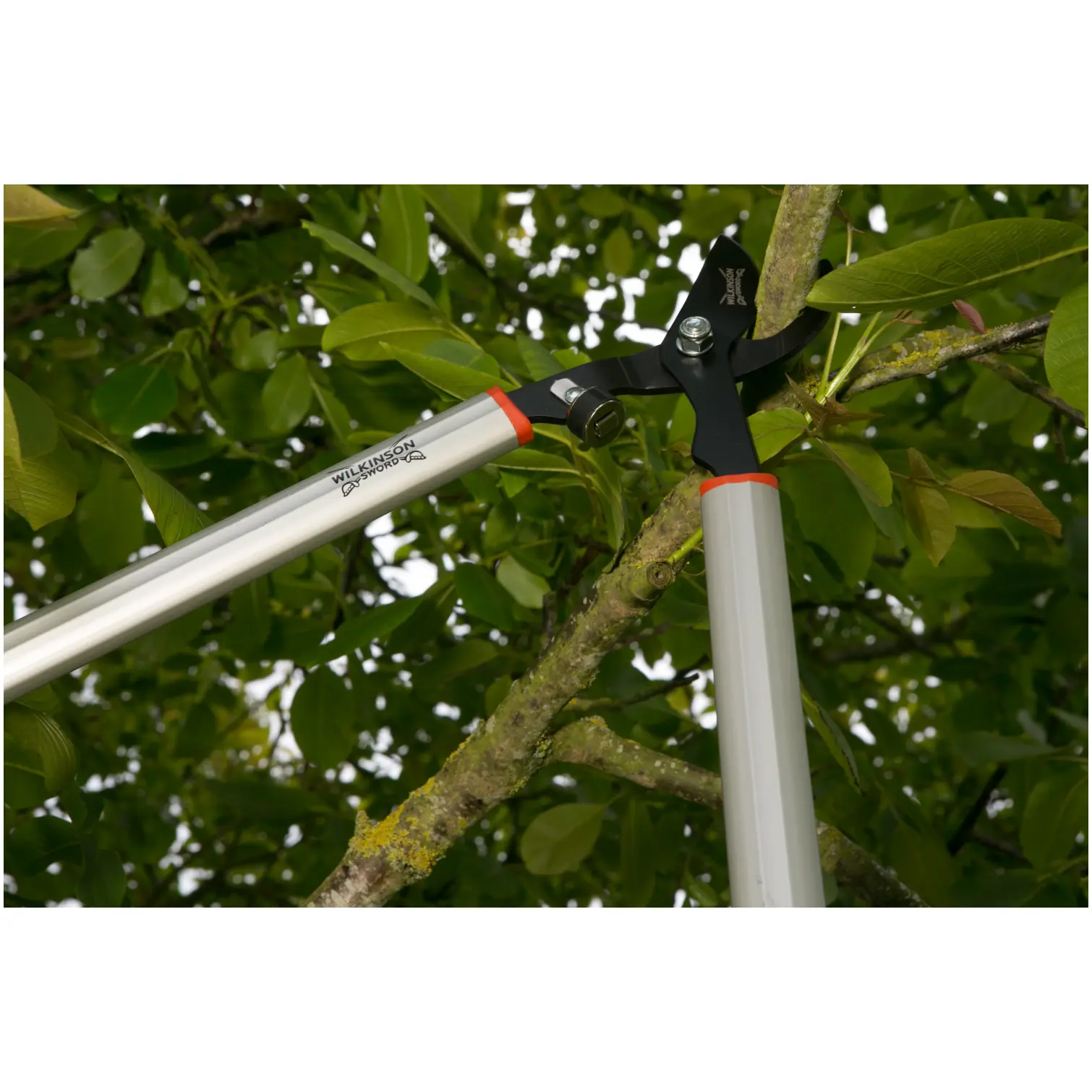 Wilkinson Bypass Lopper 740mm