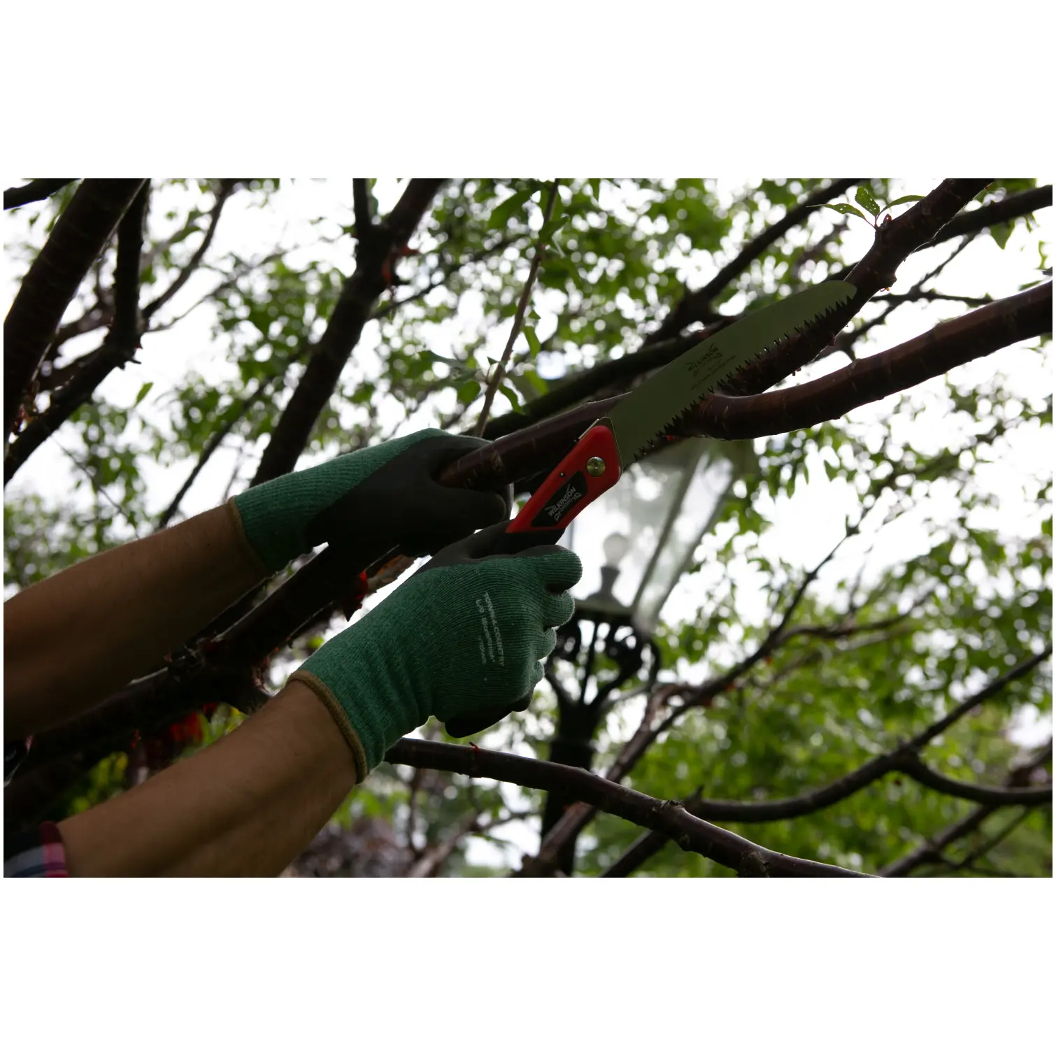 WLS0036_2 Wilkinson Sword Folding PruningSaw