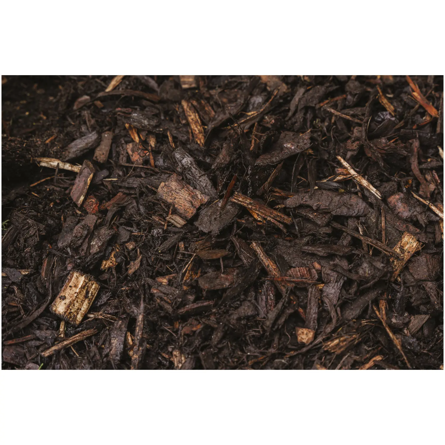 Westland Decorative Mini Bark Chips 70 Litres