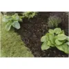 Westland Decorative Mini Bark Chips 70 Litres