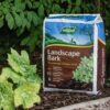 Westland Landscape Bark Chips 100 Litres