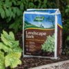 Westland Landscape Bark Chips 100 Litres