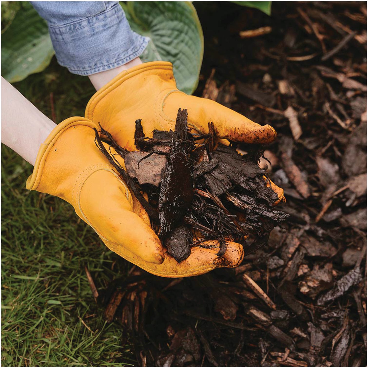 Westland Landscape Bark Chips 100 Litres