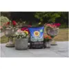 Jack's Magic Compost 50Ltr