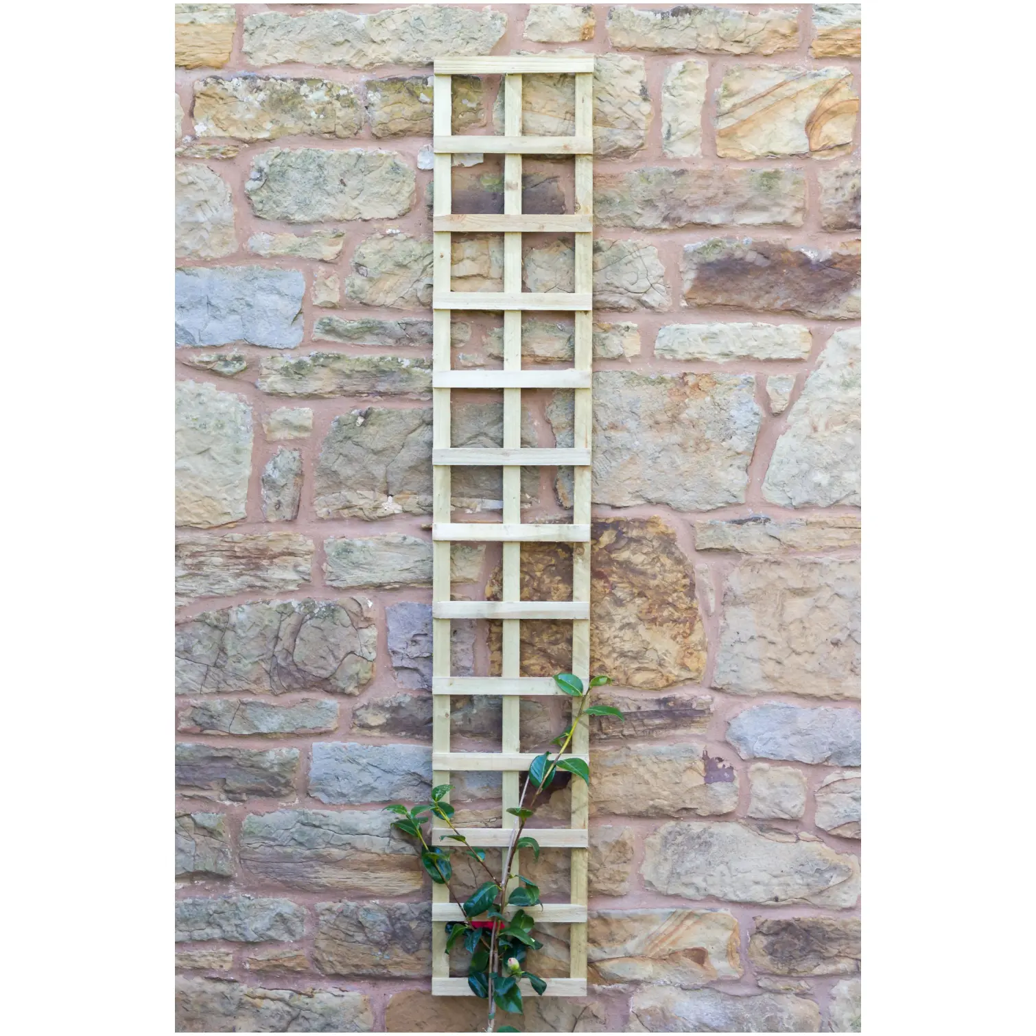 ZES0001_1 Zest4Leisure 1.8m x 305mm Fixed Trellis