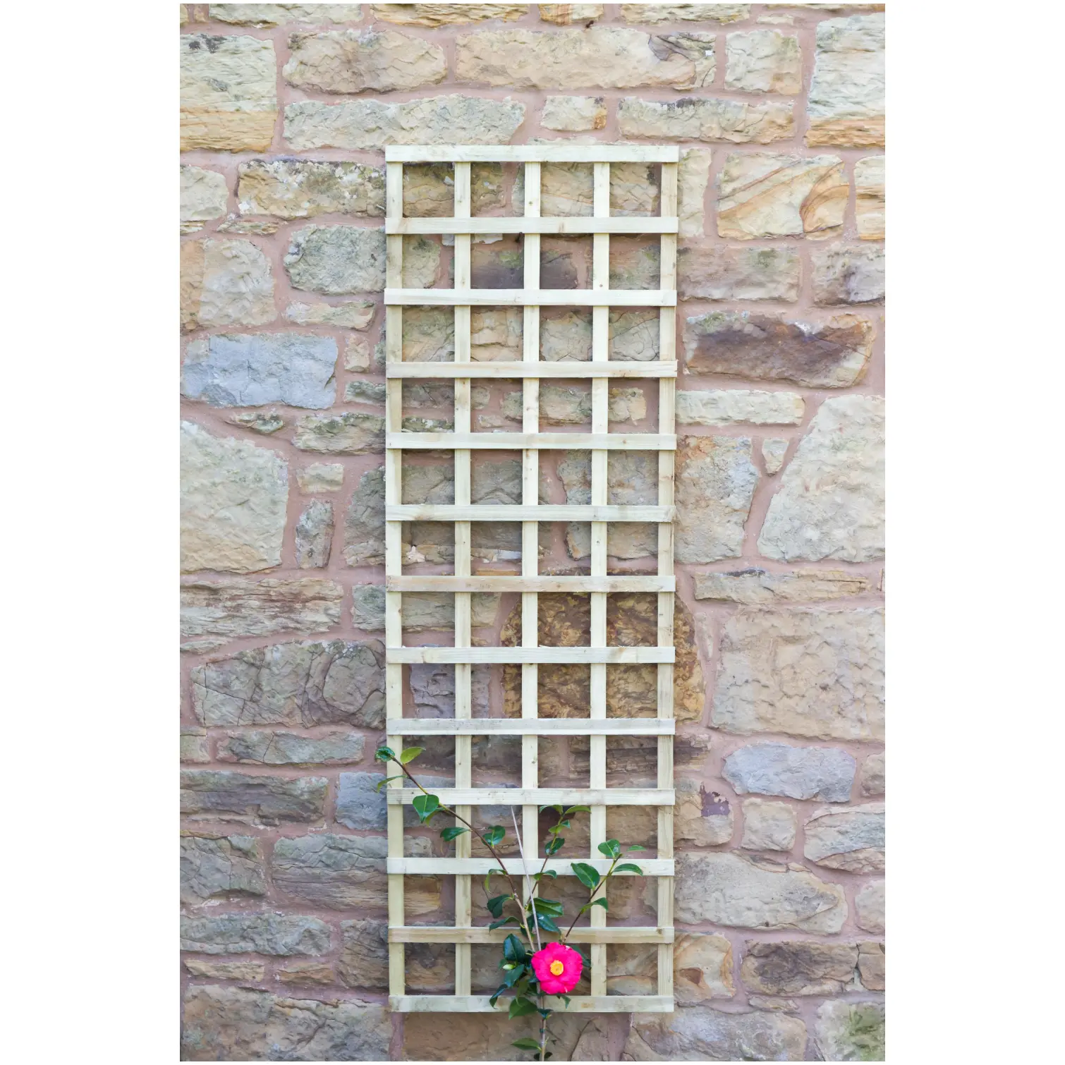 ZES0005_1 Zest4Leisure 1.8m x 615mm Fixed Trellis
