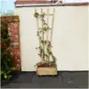 Zest4Leisure 1.8m x 630mm Fan Trellis Tan