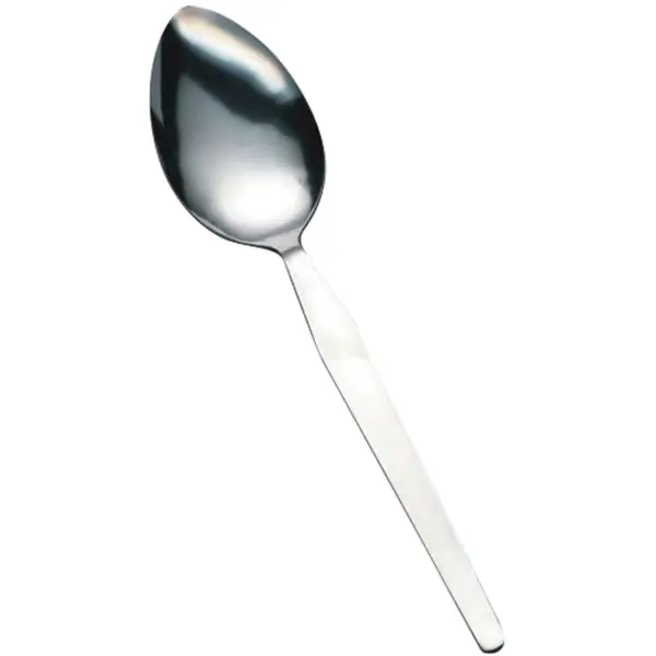 Sunnex Everyday Dessert Spoon Stainless Steel