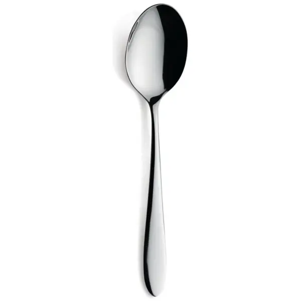 MON0096 Amefa Sure Soup Spoon 18/0 Stainless Steel
