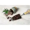 Westland Cacti & Succulent Potting Mix 4ltr