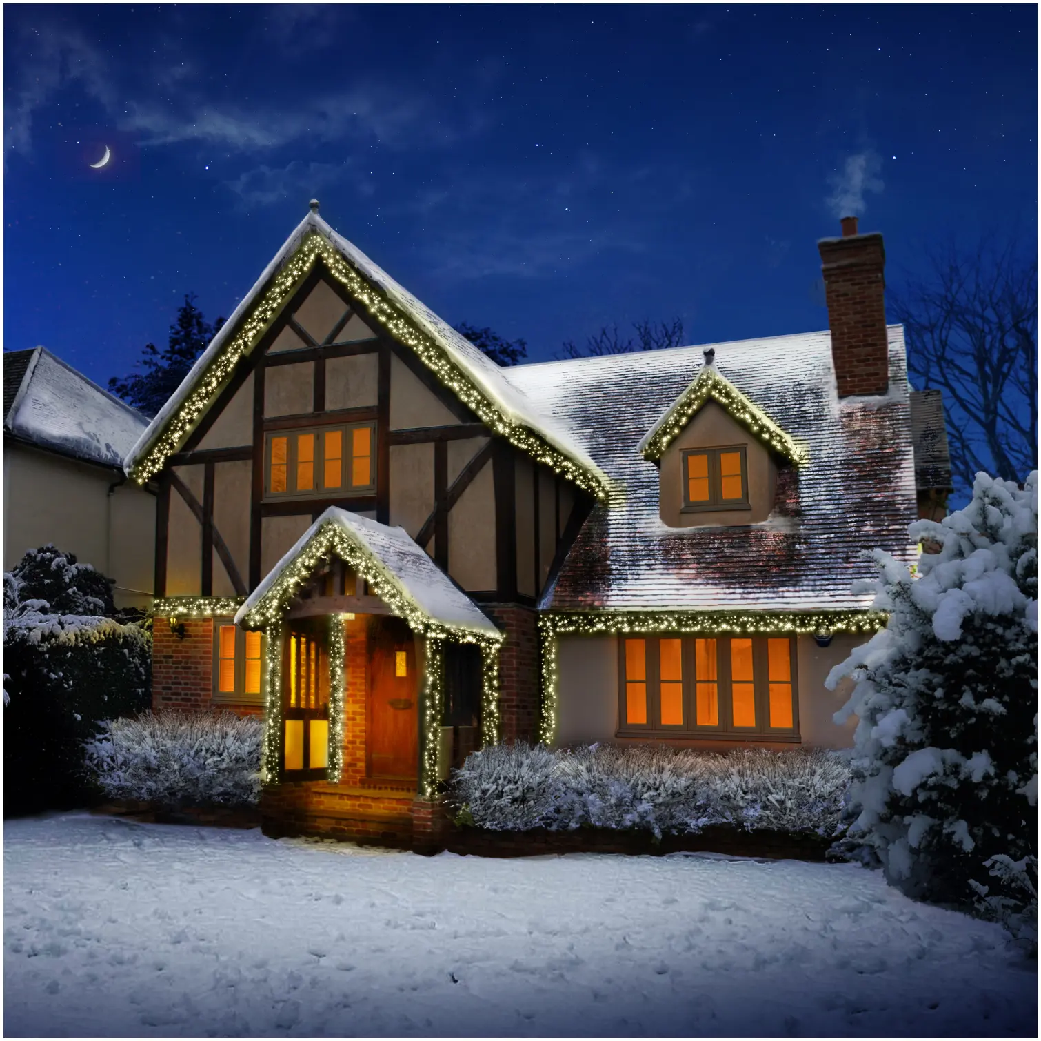 PRM0365_1 Premier 960 LED ClusterBrights Warm White