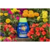 Westland Boost Plant Food 1ltr