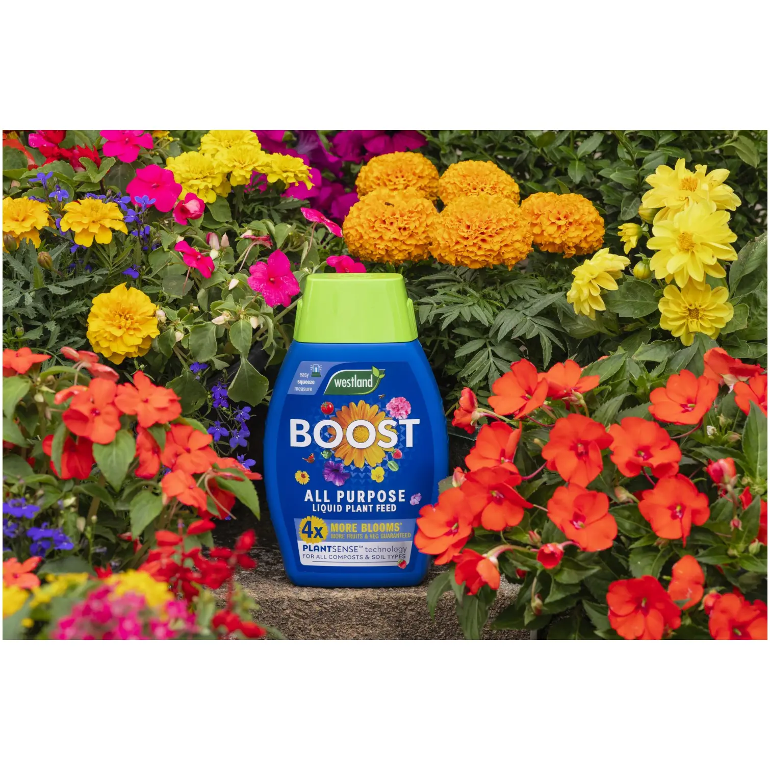 Westland Boost Plant Food 1ltr