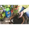 Westland Boost Plant Food 1ltr