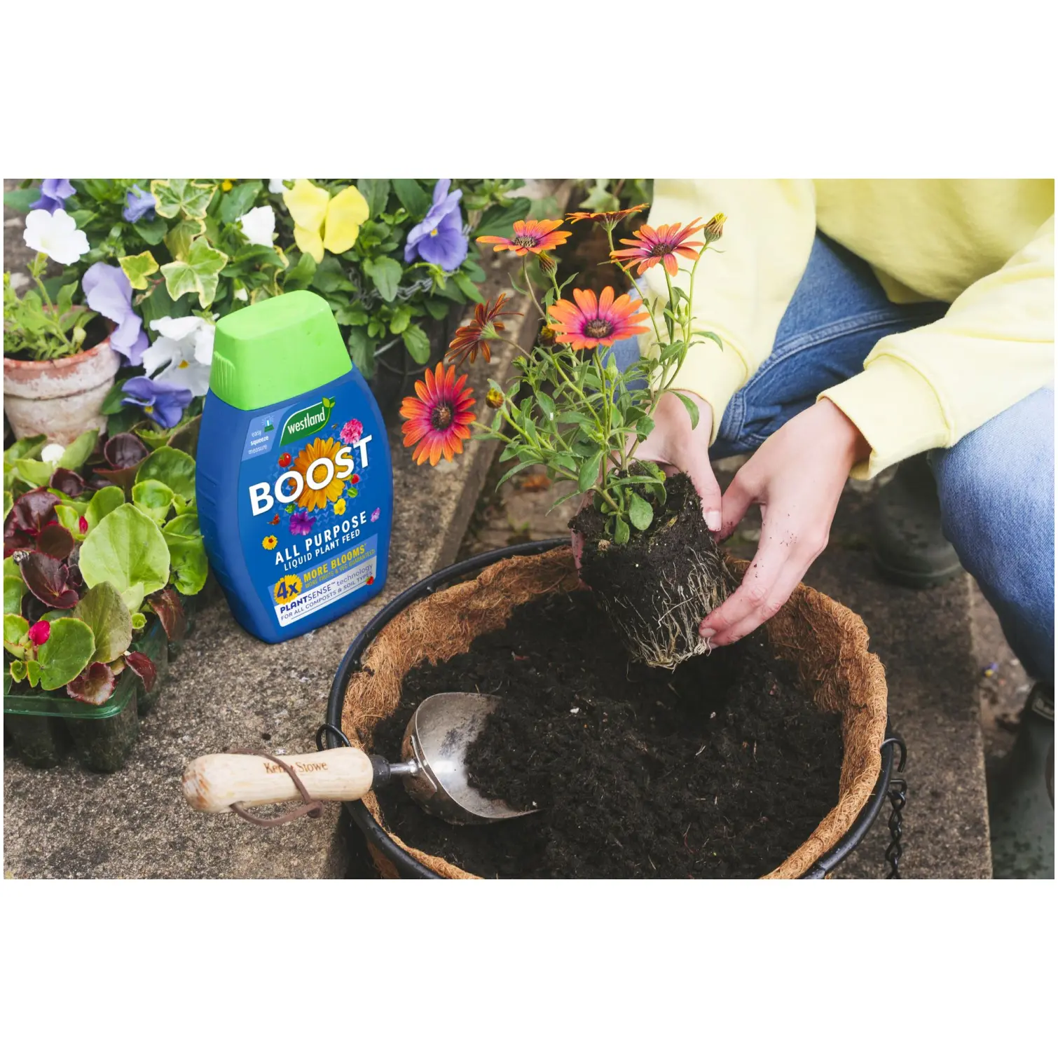 Westland Boost Plant Food 1ltr
