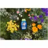 Westland Boost Plant Food 1ltr