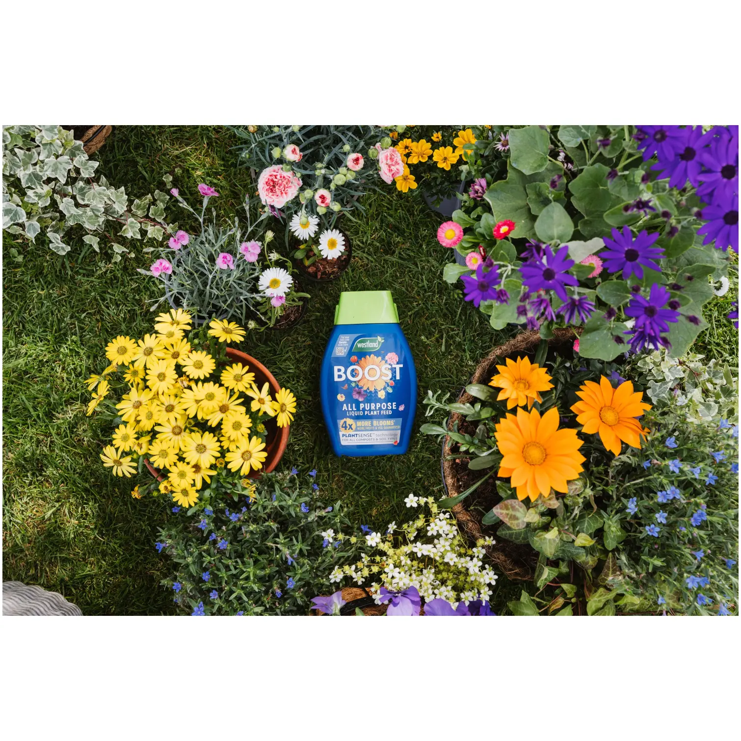 Westland Boost Plant Food 1ltr