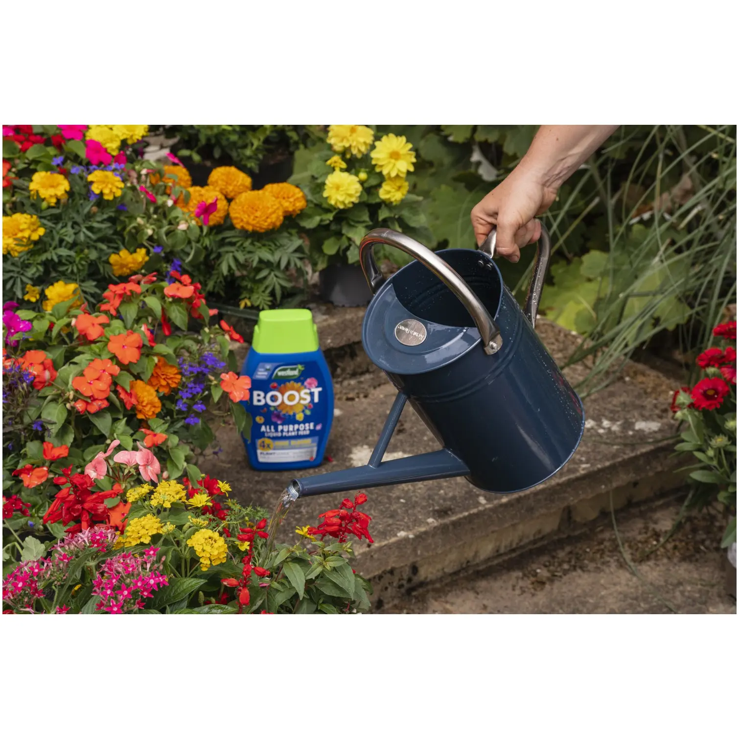 Westland Boost Plant Food 1ltr