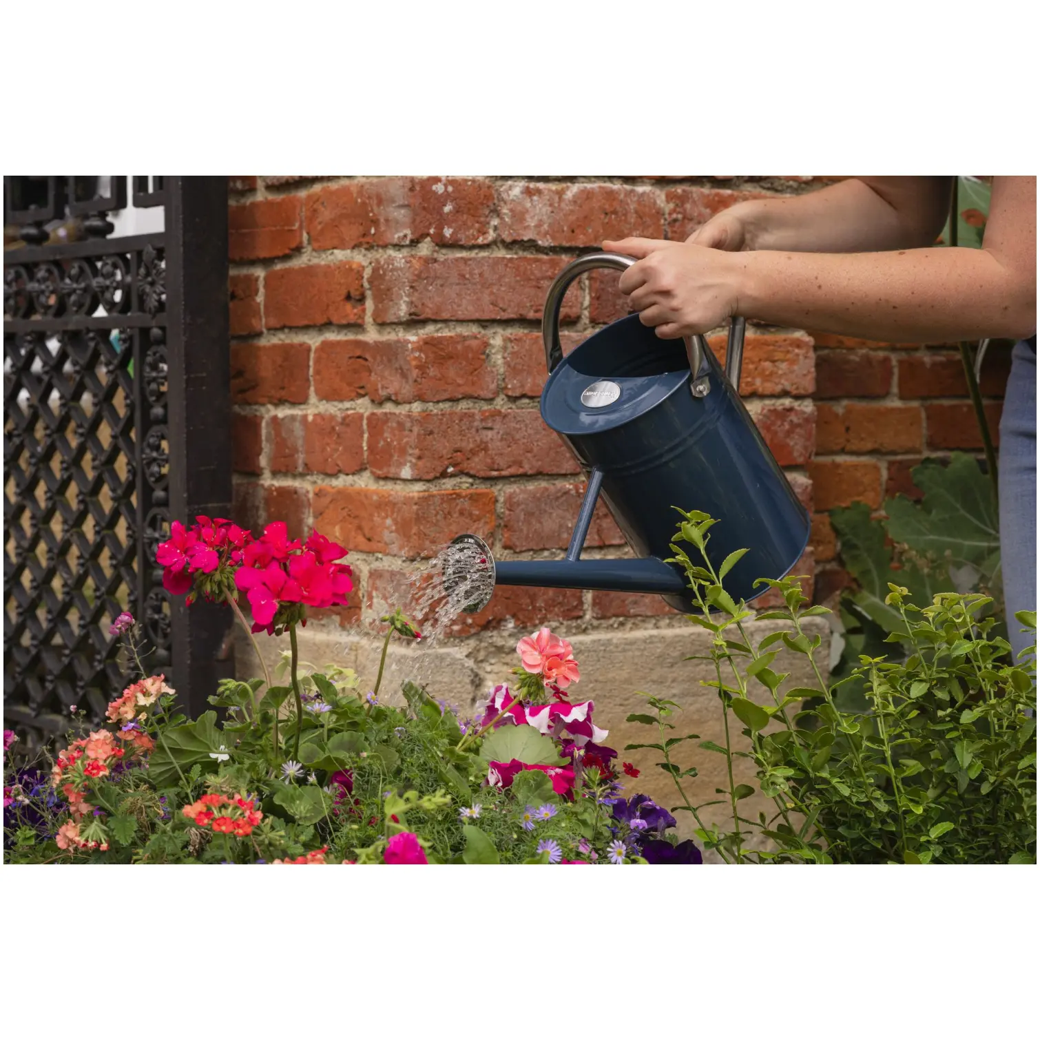 Westland Boost Plant Food 1ltr