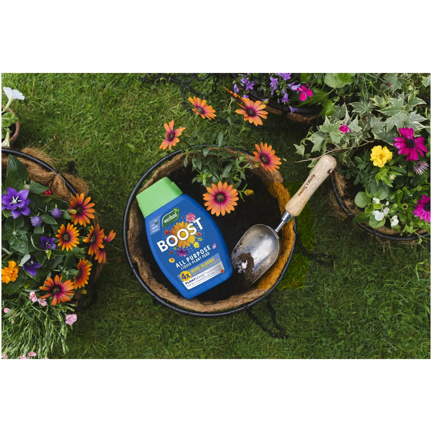 Westland Boost Plant Food 1ltr
