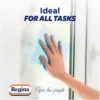 Regina Blitz Paper Towels Pack of 2
