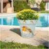 CKW0028_1 Creekwood Zest Pot Robin 30cm