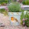 CKW0028_3 Creekwood Zest Pot Robin 30cm