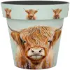 Creekwood Zest Pot Highland Cow 22cm
