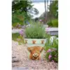Creekwood Zest Pot Highland Cow 22cm