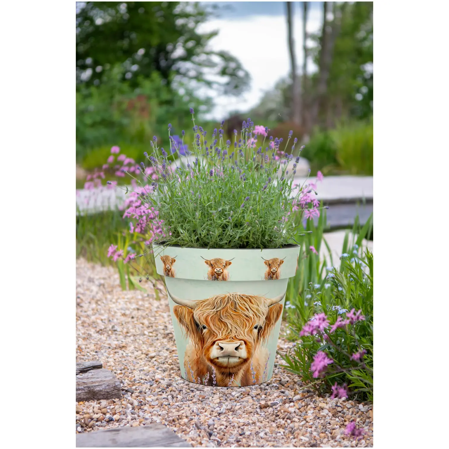 Creekwood Zest Pot Highland Cow 22cm