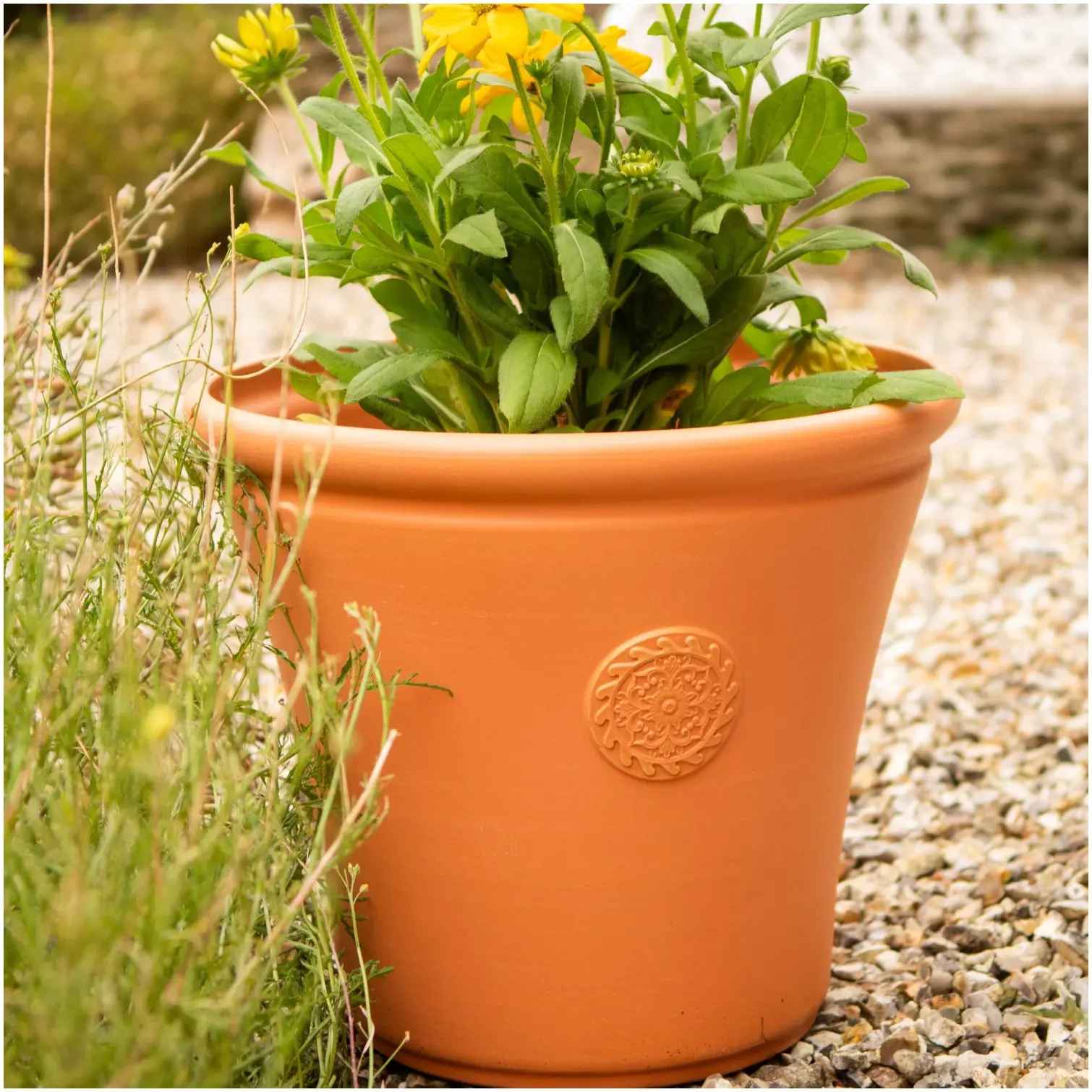 Chatsworth Planter 45cm Terraotta