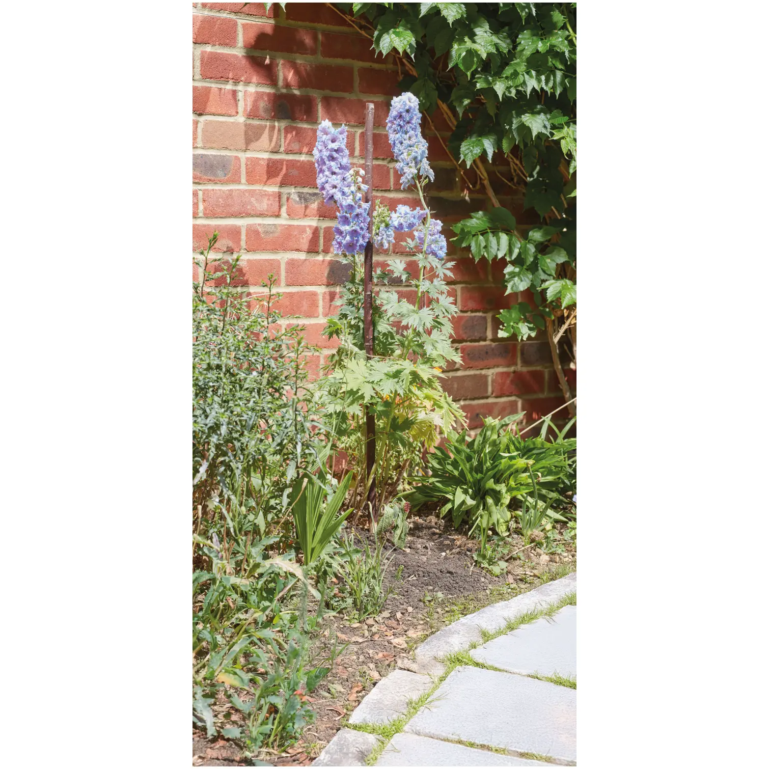 Smart Garden Willow Gro-Stakes 120cm Pack of 5