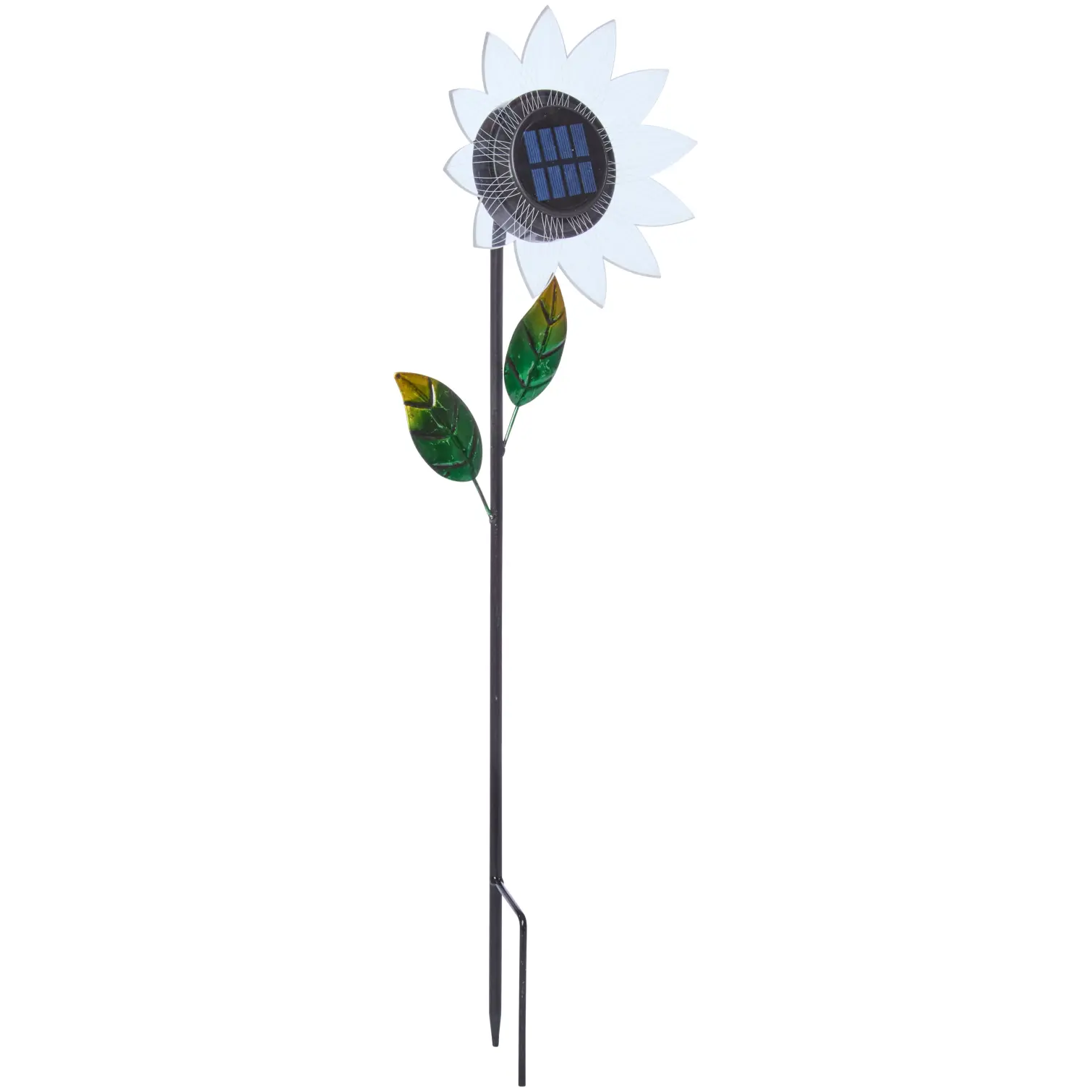 Smart Garden Bloom Line Asst