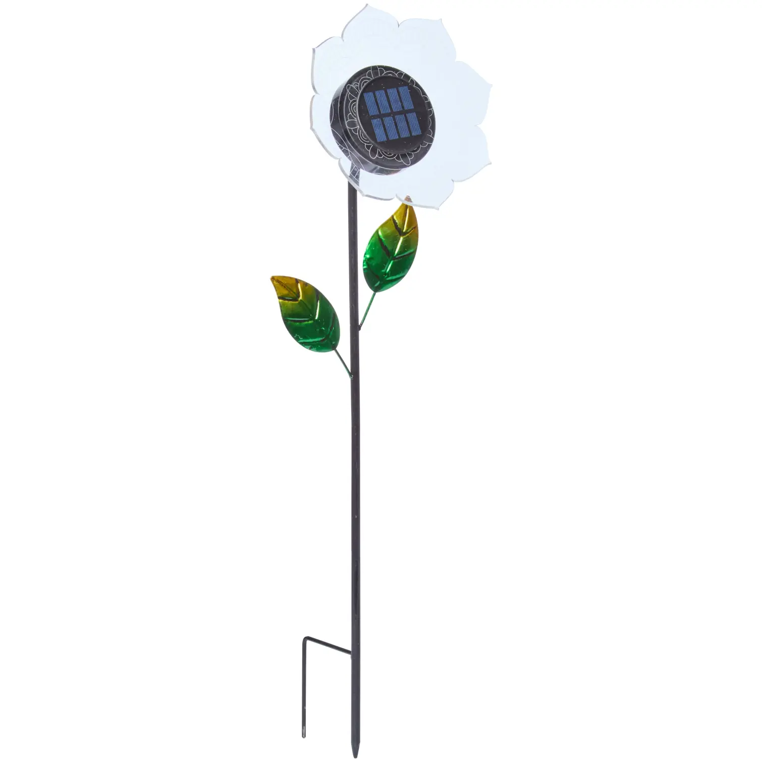 Smart Garden Bloom Line Asst