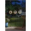 Smart Garden Bloom Line Asst