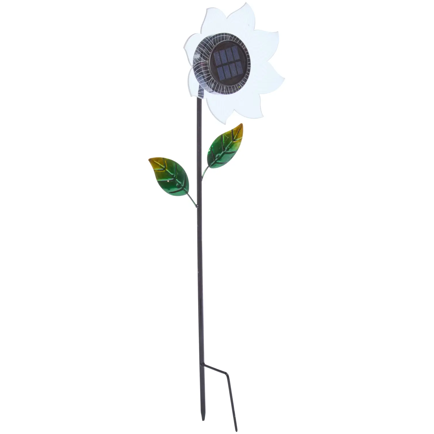 Smart Garden Bloom Line Asst