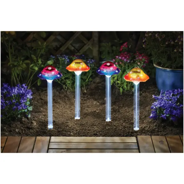 SMA0851_1 Smart Garden Funky Fungus Pack of 4