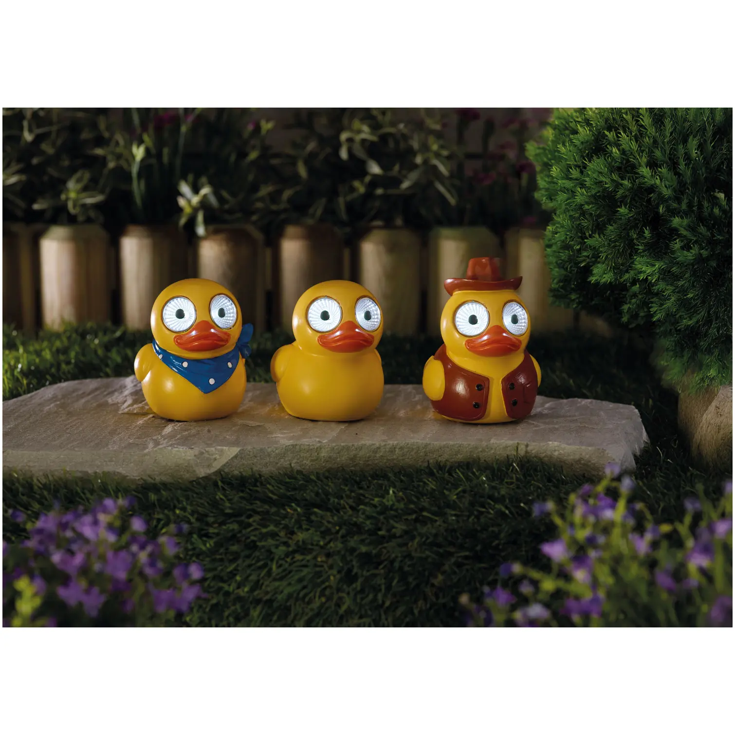 Smart Garden Bright Eyes Lucky Duck Assorted