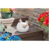 Smart Garden Lady Cluck