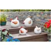 Smart Garden Lady Cluck